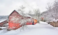 Osmaniye'nin en soğuk ilçesi belli oldu! Sıcaklıklar -7 dereceye düştü