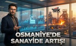Osmaniye’nin Lokomotifi İmalat Sektörü, Türkiye Ortalamasının Üzerinde