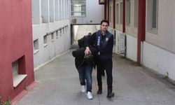 Sazan sarmalı dolandırıcılık çetesi çökertildi