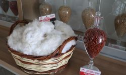 Türk tarımında 'Galaxy' devrimi! Tek bir tohumla ekonomiye 700 milyon liralık katkı!