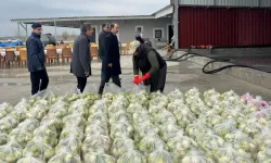 Üreticiye Devlet Desteği Kadirli’de Tarımsal İnceleme