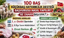 100 Baş Küçükbaş Hayvancılık Desteği Başvurusu Nasıl Yapılır? Ne Zaman Başlıyor? Tüm Şartlar...