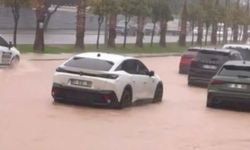 Adana’da fırtına ağaçları yerinden söktü