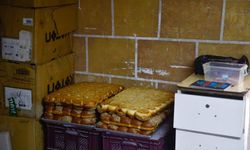 Adana’da O Fırının İçinden Gelen Görüntüler Mide Bulandırdı: Ramazan Öncesi Mühür Vuruldu!