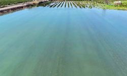 Adana’da sel suları tarım arazilerini sular altında bıraktı