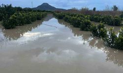 Adana’da şiddetli yağış tarlaları sular altında bıraktı