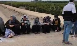 Adana’da trafik kazası: 1’i ağır 7 tarım işçisi yaralandı