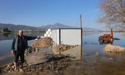 Amik Ovası’nda şiddetli yağış: Tarım arazileri ve evler sular altında