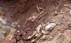 Antalya’da Altyapı Kazısında Ürperten Keşif: Çok Sayıda Kemik Parçası Bulundu