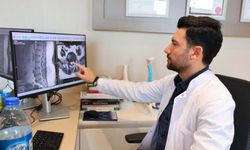 Deprem Sonrası Bel Ağrısı Neden Olur? Bel Fıtığı Vakalarında Artış