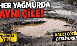Dervişli Köyü'nde Ulaşım Çilesi: Her Yağmurda Çukur Yollar Göle, Araçlar Hurdaya Dönüyor!