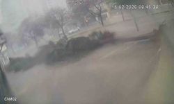 Fırtına dev ağaçları kökünden söktü, o anlar kameraya yansıdı