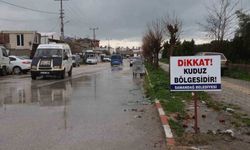 Hatay’da 4 mahalle kuduz nedeniyle karantinaya alındı