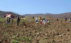 Hatay’da yangın sonrası 5 bin fidan toprakla buluşturuldu