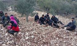 Hatay’da zeytinlik alanda 30 düzensiz göçmen yakalandı