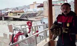 Kedi kurtarma operasyonu itfaiyeye alkışlı teşekkür getirdi