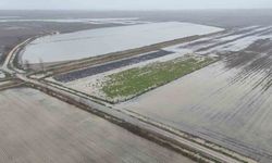 Osmaniye’de Sağanak Felaketi: Binlerce Dönüm Tarım Arazisi Sular Altında