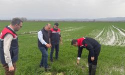 Osmaniye’de Sağanak Sonrası Hasar Tespit Mesaisi Başladı