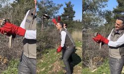 Osmaniye’de Tedavisi Tamamlanan Şahinler Doğaya Salındı