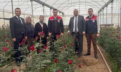 Osmaniye’nin Gülleri Kadın Eliyle Ekonomiye Dönüştü