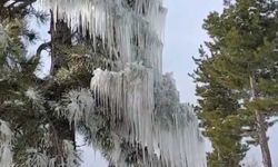 Saimbeyli’de Kar ve Buz Doğada Görsel Şölen Oluşturdu