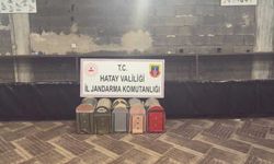 Süs Kanatlı Sokak Hayvanları Koruma Derneği’nde horoz dövüştürüp kumar oynayan 76 kişiye ceza