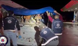 Tır dorsesinde branda altında saklanan 12 kaçak göçmen yakalandı