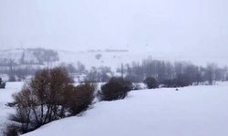 Tufanbeyli’de Kar Yağışı İlçeyi Beyaza Bürüdü