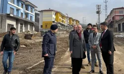 Vali Serdengeçti Hasanbeyli’de İncelemelerde Bulundu