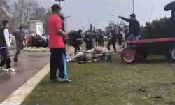 Adana’da atına şiddet uygulayan kişi tepki çekti