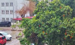 Adana’da bayramda yağmur ve serin hava bekleniyor