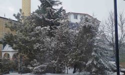 Adana’da Kar Sürprizi