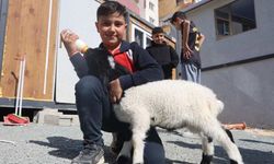 Annesiz kalan ‘Boncuk’ kuzu mahallede ilgi odağı oldu