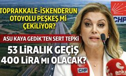 CHP’li Asu Kaya Gedik’ten Sert Tepki: "Toprakkale-İskenderun Otoyolu Peşkeş mi Çekiliyor?"