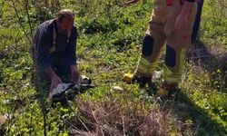 Defne’de Kuyuya Düşen Kuzu İtfaiye Ekiplerince Kurtarıldı