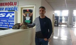 Depremde kaybolan “Kadir” 44 gün sonra sahibine kavuştu