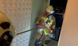 Hatay’da camide görülen yılan itfaiye tarafından yakalandı