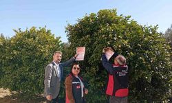 Kozan’da arıların korunması için sahaya inildi