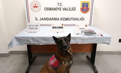 Osmaniye İl Jandarma Komutanlığı Bir Haftalık Bilançoyu Açıkladı: 123 Olay, 99 Gözaltı