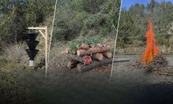 Osmaniye Orman İşletme'den Kabuk Böceği Operasyonu: 3 Zararlı Tür Tespit Edildi