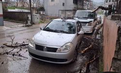 Osmaniye’de Fırtına Çam Ağacını Devirip Otomobilin Üzerine Düşürdü