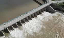 Osmaniye'de korkutan görüntü: Geçen Yıl Yürüyerek Geçiyorlardı, Şimdi Yanına Yaklaşamıyorlar!