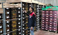 Osmaniye'den Dünya Sofralarına Güvenli İhracat: Zirai Karantina Denetimleri Aralıksız Sürüyor