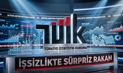 Osmaniye'nin İşgücü Karnesi Belli Oldu İşte Son Rakamlar