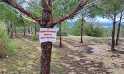 “Tabiat Temiz Kalsın” Uyarısı Kirliliği Önleyemedi