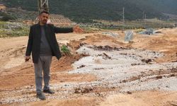 Zehirli Su İddiası 43 Küçükbaş Hayvan Telef Oldu