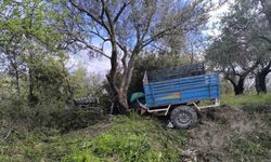 Zeytin bahçesine uçan patpatın sürücüsü hayatını kaybetti