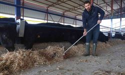 Ziraat mühendisliğini bırakıp çiftlik kurdu: Hedefi 100 hayvan
