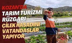 Adana Kozan’da Tarım Turizmi Rüzgarı: Çilek Hasadını Vatandaşlar Yapıyor