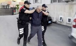 Adana'da Köpeğe Sopayla Eziyet Eden Bekçi Yakalandı